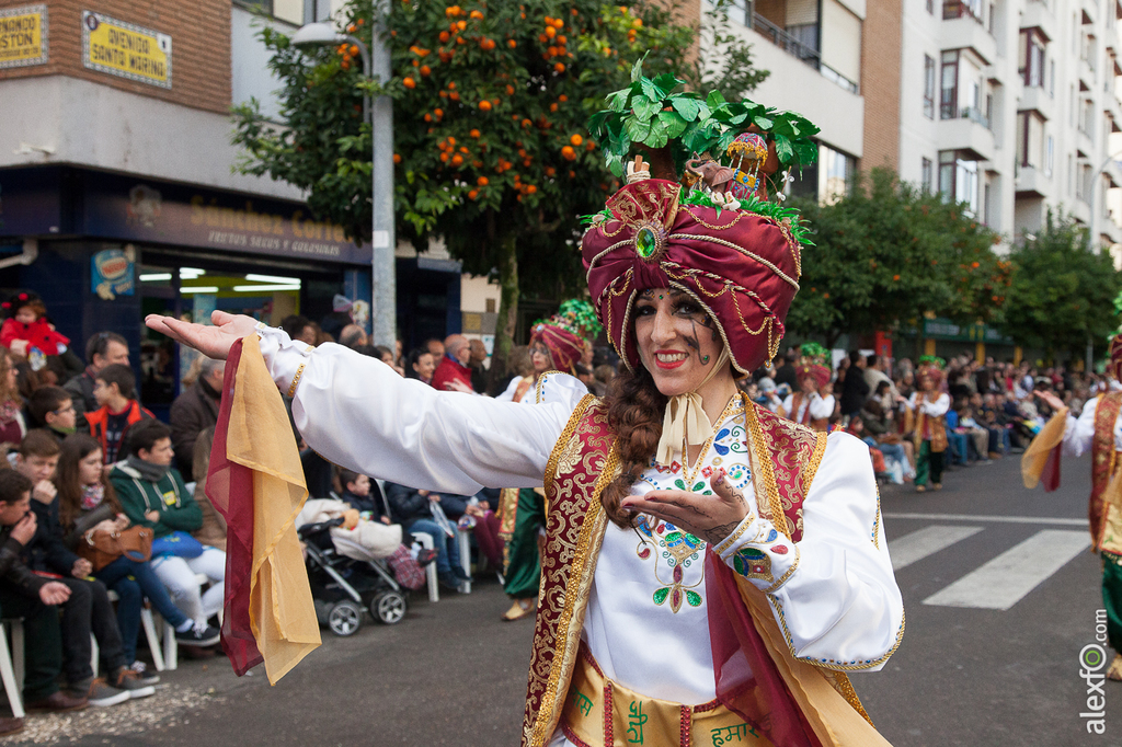 Comparsa Tarakanova - Carnaval Badajoz 2015 IMG_7238
