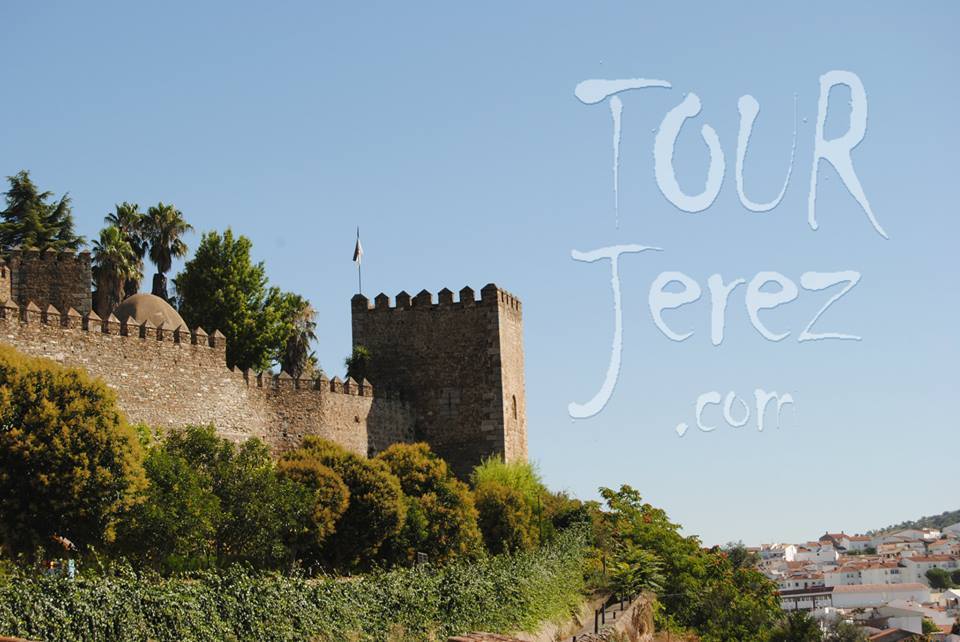 Tour Jerez visitas guiadas Tour Jerez (13)