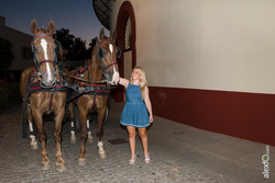 La gira gilbert y gaillard extremadura 2014 visita las bodegas de la plaza de toros y vinas de almen dam preview