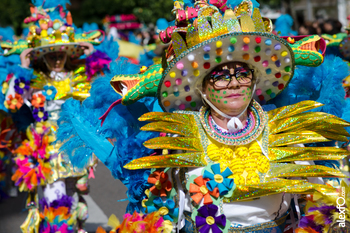 Comparsa los soletes desfile de comparsas carnaval badajoz 2014 dca 4931 comparsa los soletes desfil normal 3 2