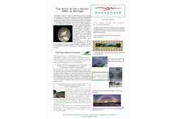 Newsletter atumon 33b57 fe29 dam preview