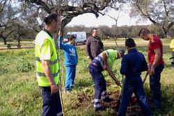 Plantacion de arboles en tres arroyos colaborando con los chicos en la siembra dam preview