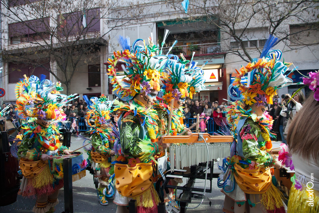 Desfile de Comparsas Infantiles Carnaval de Badajoz 2016 60