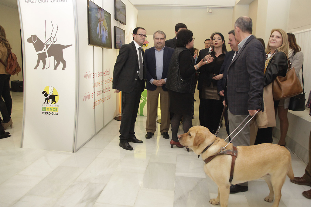 La Diputación de Badajoz acoge una exposición sobre la labor de la Fundación ONCE con los perros guía