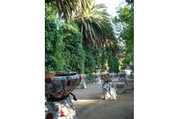 Hacienda jardin la vara buffet paseo de palmeras dam preview