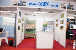 Fotos de FIO 2016   Feria Internacional del Turismo Ornitológico   Monfragüe 962