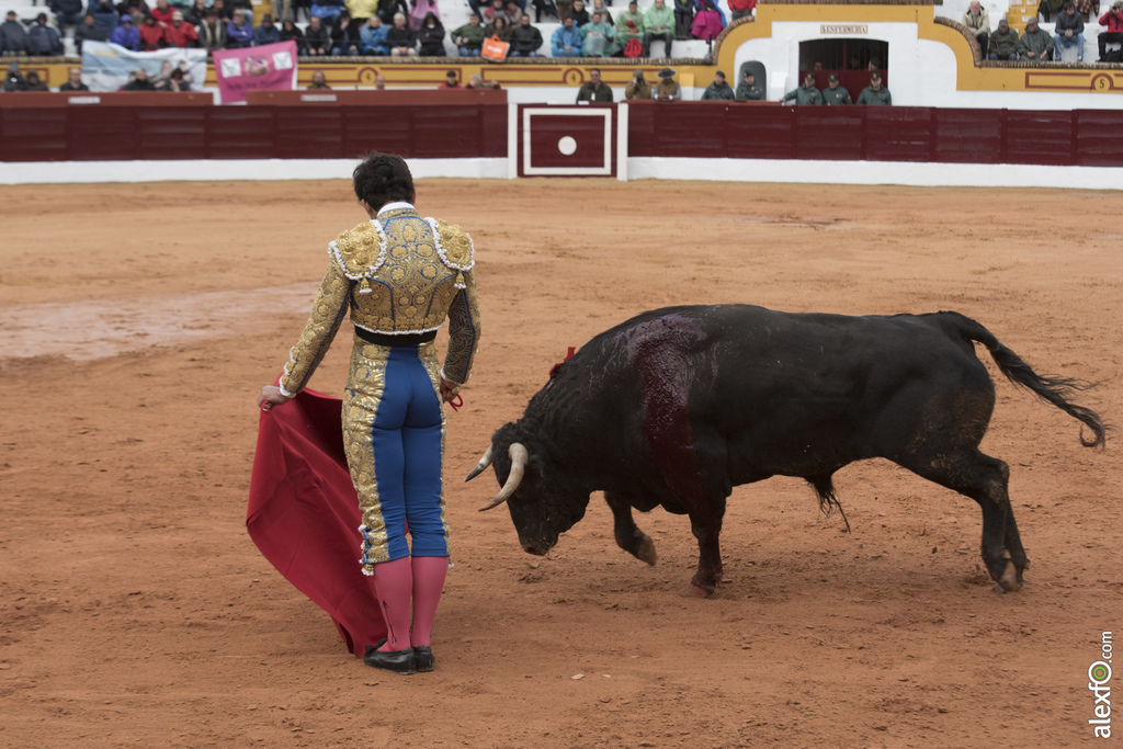 Prestigiosas figuras del toreo español como “El Juli”, Antonio Ferrera y Talavante abren la temporada taurina nacional en Olivenza