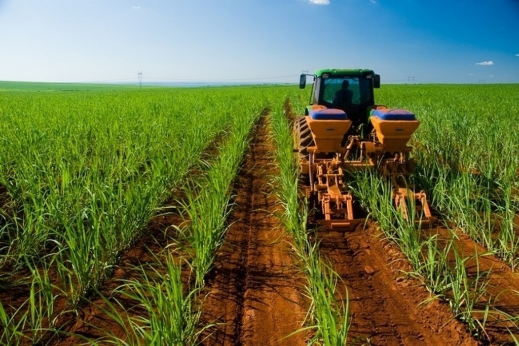 El DOE publica la convocatoria de ayudas a inversiones en activos físicos vinculados a la producción agroindustrial