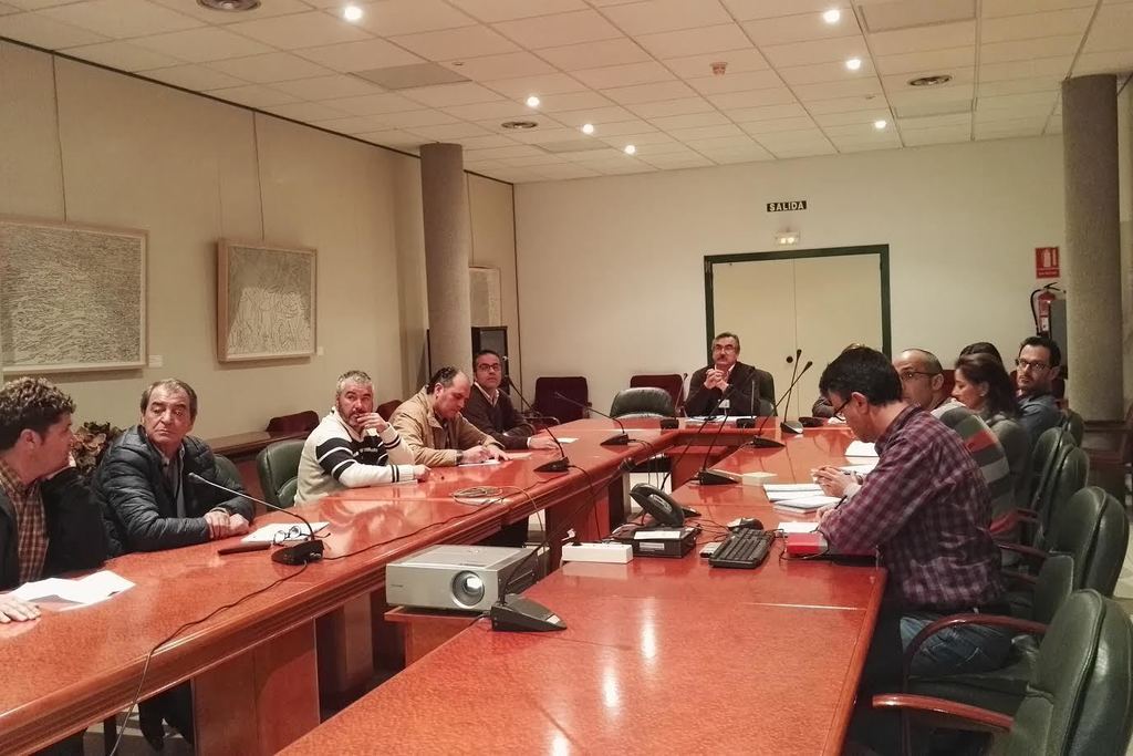 Medio Ambiente y Rural, Políticas Agrarias y Territorio inicia la campaña oficial para el control de la langosta mediterránea