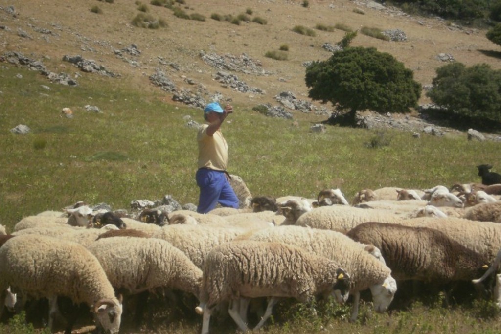 Medio Rural concede una subvención de 35.000 euros para dinamizar la Escuela de Pastores de Casar de Cáceres