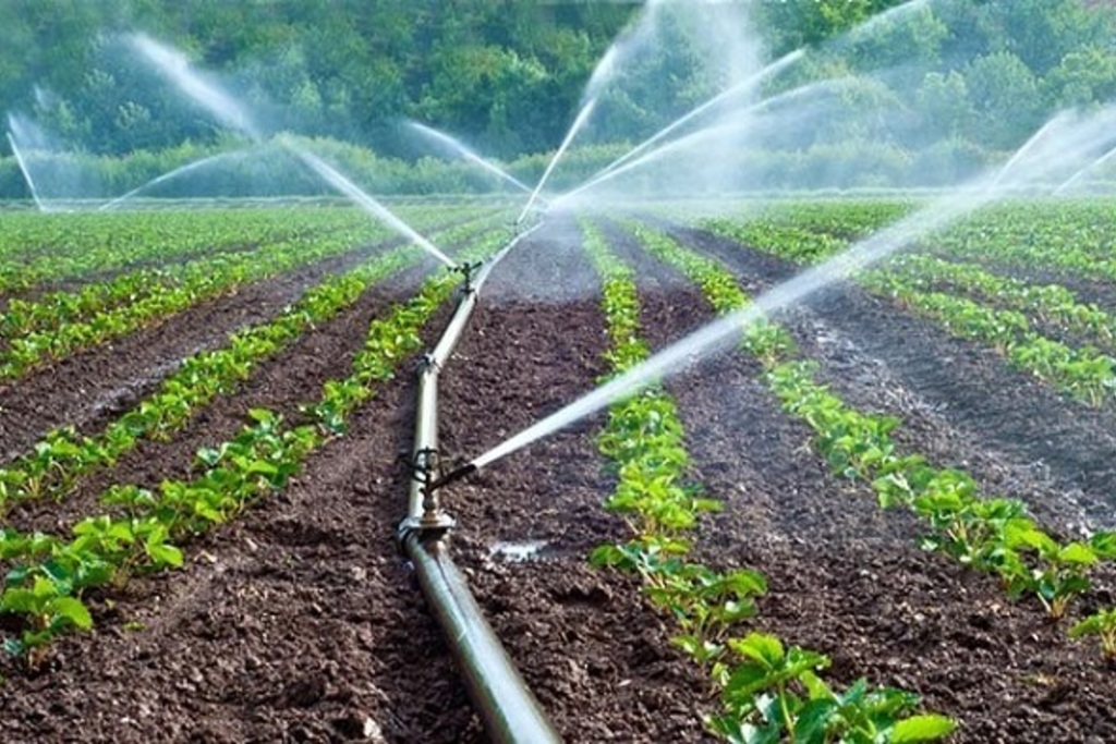 El DOE publica la convocatoria de ayudas para la implantación de sistemas de riego que promuevan el uso eficiente del agua y de la energía en las explotaciones agrarias