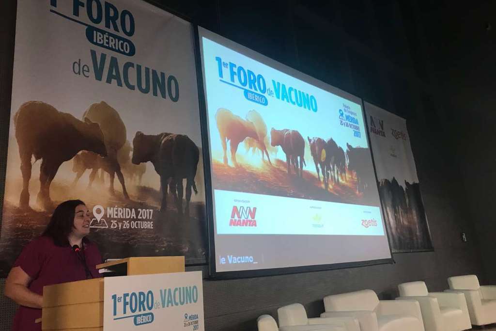 Begoña García anima al sector del vacuno a mejorar en aspectos comerciales de sus productos de calidad