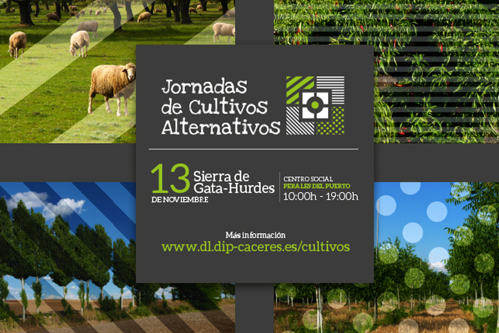 La Diputación de Cáceres organiza unas Jornadas de Cultivos Alternativos en Perales del Puerto