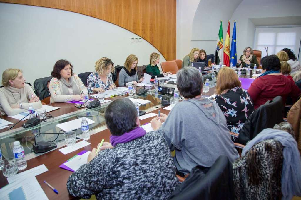 El Consejo Extremeño de Participación de las Mujeres aprueba el dictamen sobre el Plan Estratégico de Igualdad 2017–2021