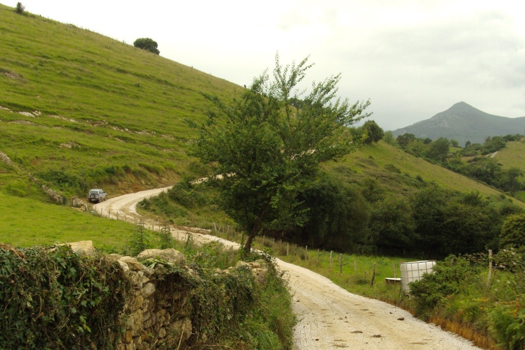 El DOE publica la contratación de la obra de acondicionamiento y mejora de varios caminos rurales de Extremadura