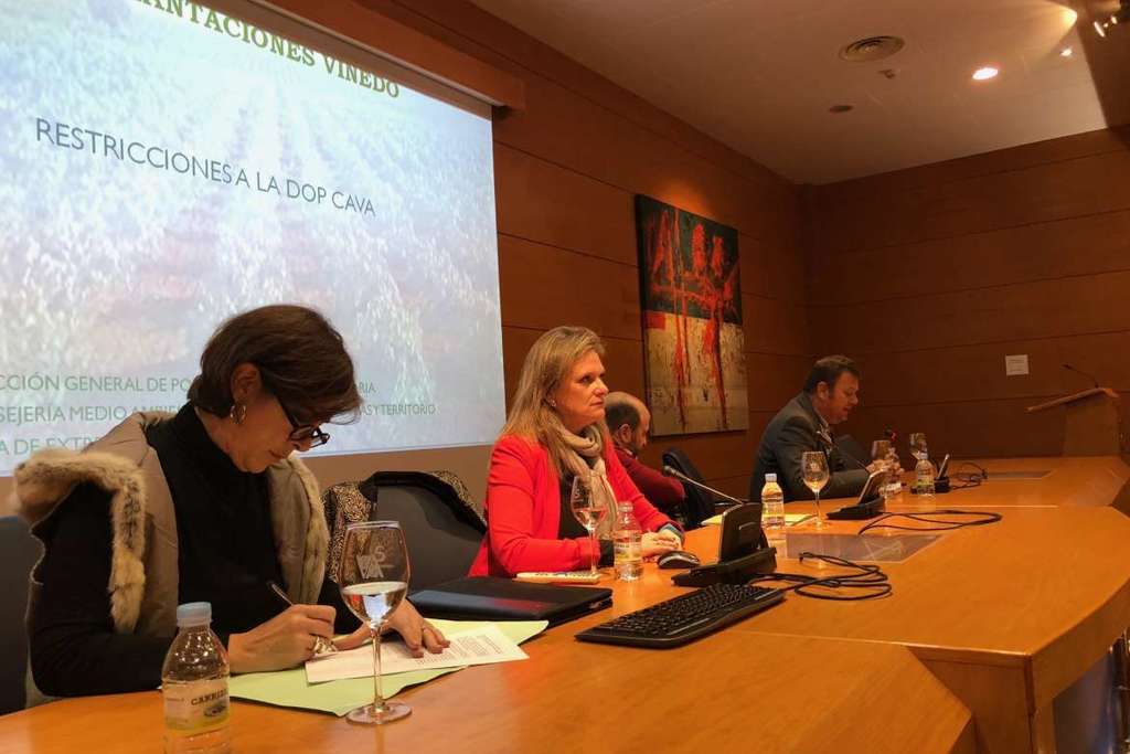 Yolanda García traslada al sector del cava de Tierra de Barros la posición de la Junta ante las restricciones del Gobierno central