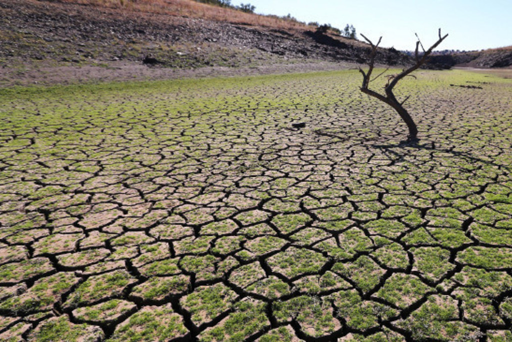 La Junta destinará cinco millones de euros al campo extremeño para paliar los efectos de la sequía