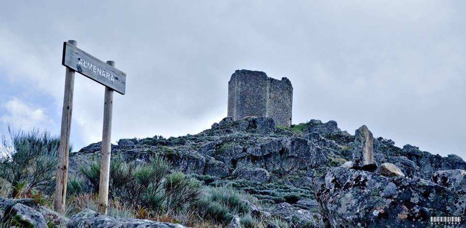 Castillo del Almenara 964