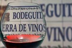 Bodeguita tierra de vinos 549 dam preview
