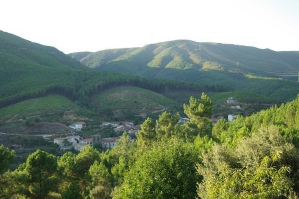 Medio Ambiente inicia los primeros pasos para la declaración de monte protector ‘Valle del Árrago’, en Sierra de Gata