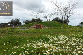 Centro de interpretacion de la cultura dolmenica 724 normal 3 2