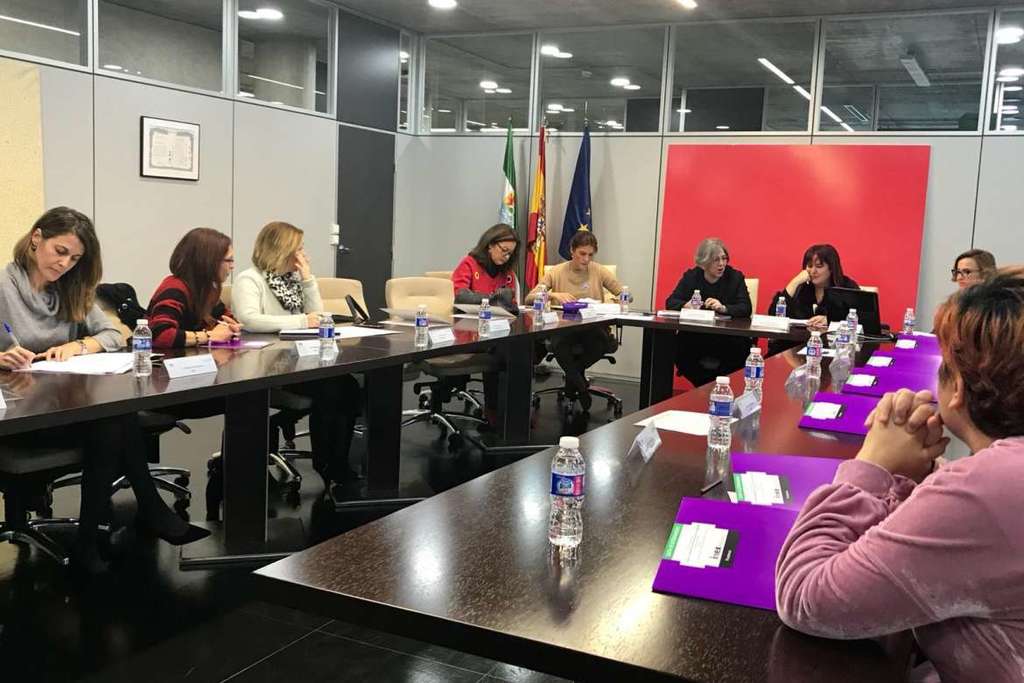 La Junta de Extremadura presenta al Consejo Extremeño de Participación de las Mujeres el futuro desarrollo normativo de la LOTUS que incluirá la perspectiva de género