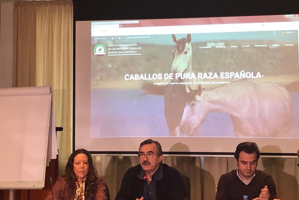 Agricultura y Ganadería lanza una web y una aplicación móvil para promocionar la pura raza española equina